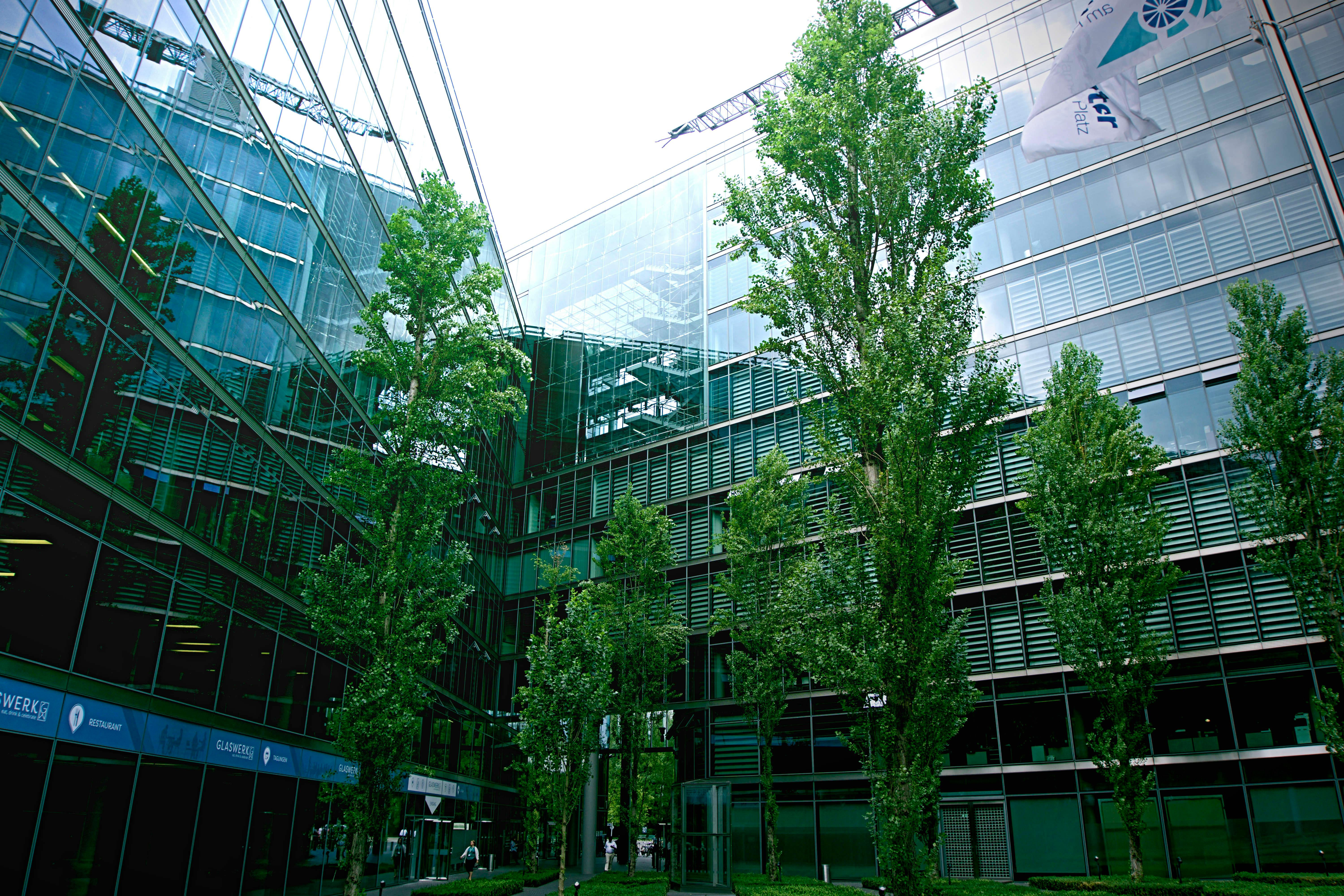 Green corporate campus with trees